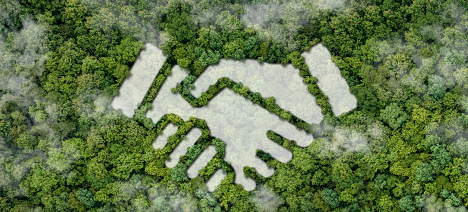 Two hands locked in a handshake, superimposed on an aerial photograph of a rainforest canopy. Two hands locked in a handshake, superimposed on an aerial photograph of a rainforest canopy.