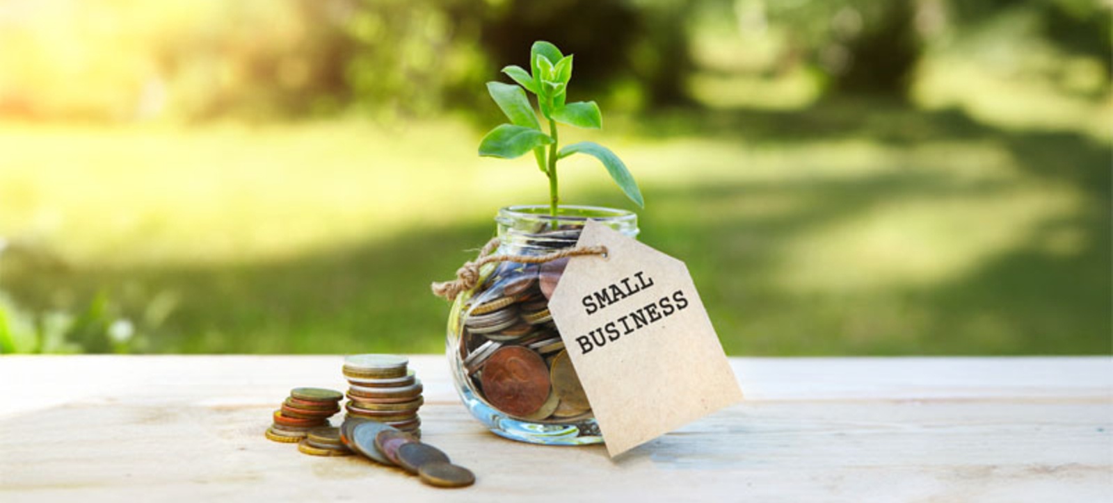 A small green plant grows out of a jar of money. There is a parcel tag on the jar that says small business.