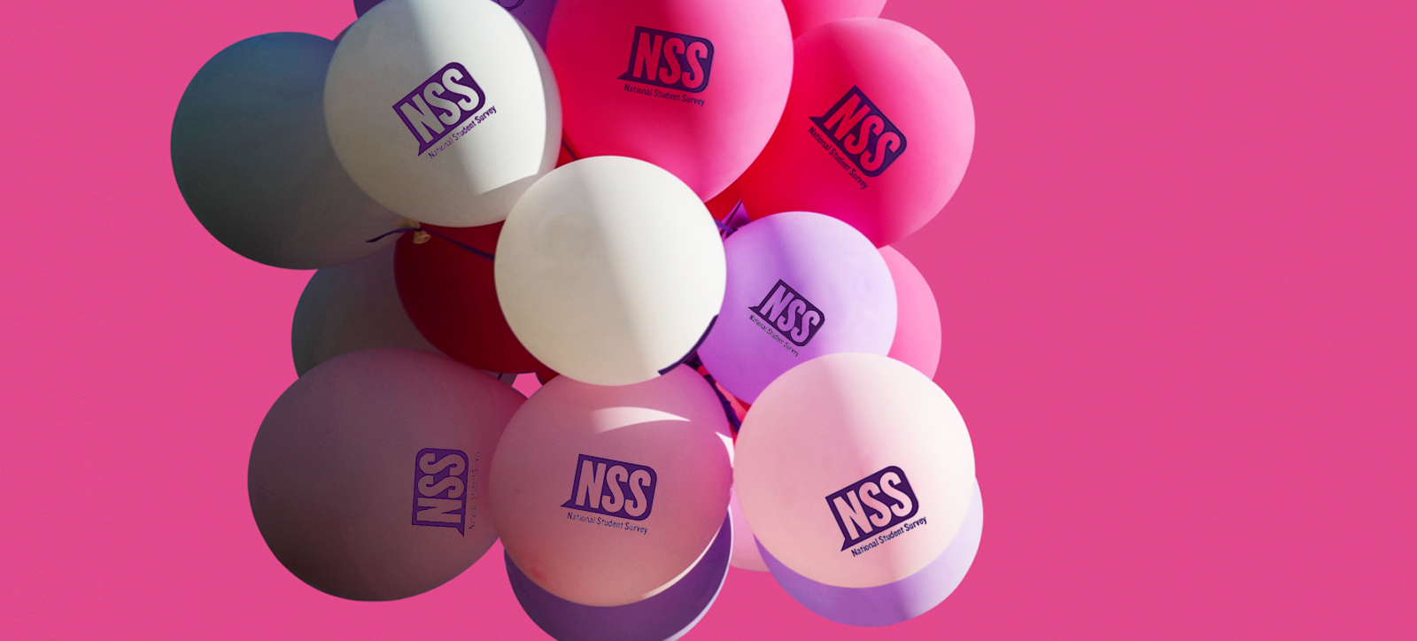 Balloons with NSS written on them