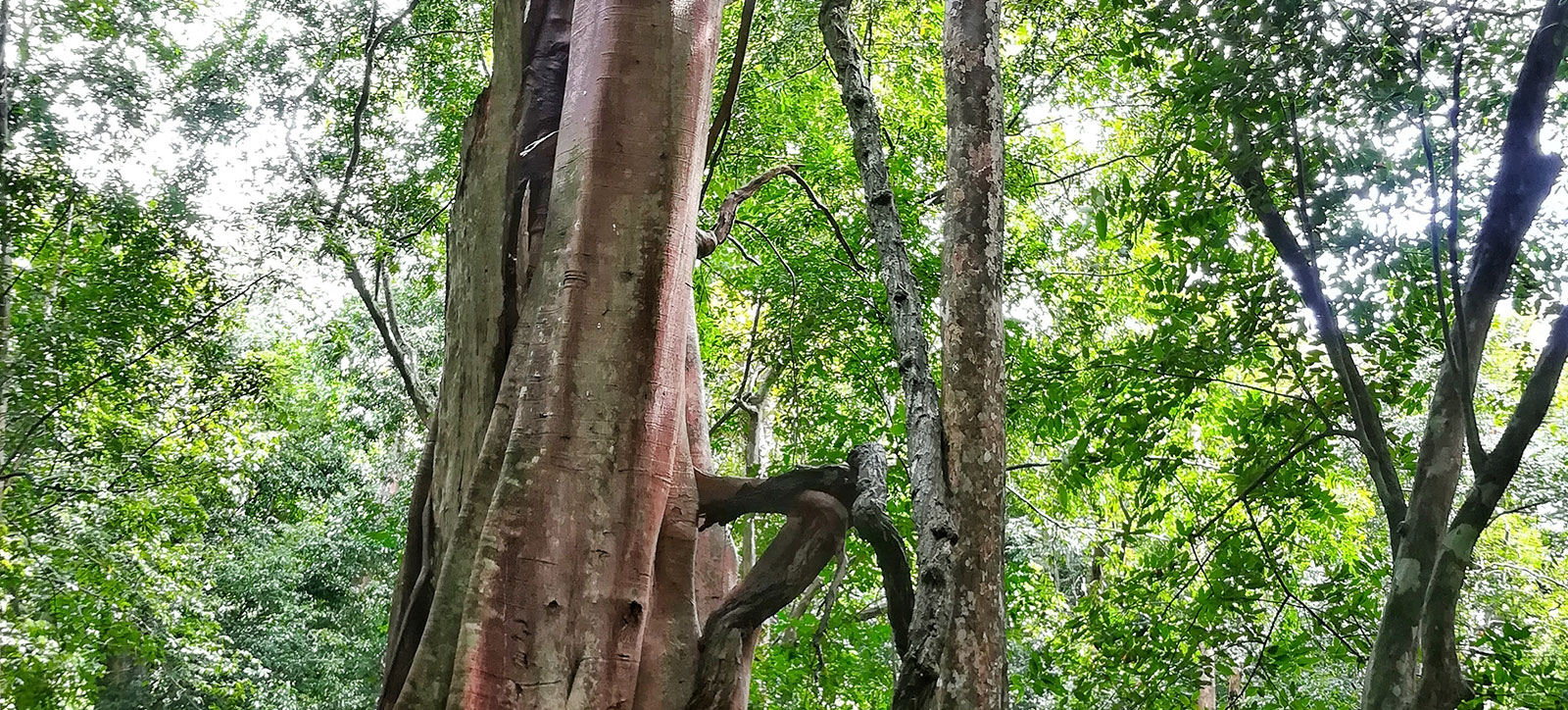 Ecosystem Ecosystem